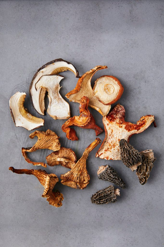 dried mushrooms
